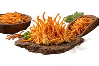 Cordyceps Mushroom