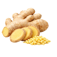 Ginger