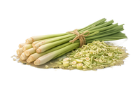 Lemon Grass 