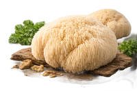 Lion's Mane Mushroom